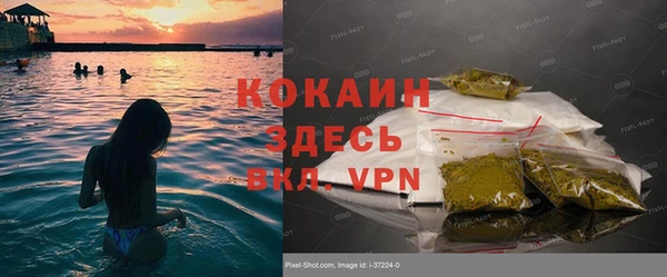 трава Богданович