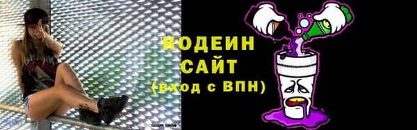 ешки Бородино