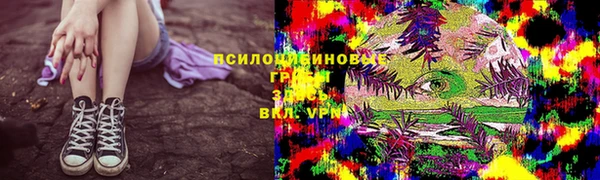 прущий лед Богородск